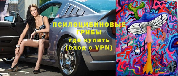 прущие грибы Зерноград