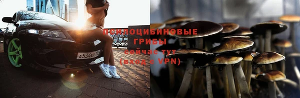 прущие грибы Зерноград