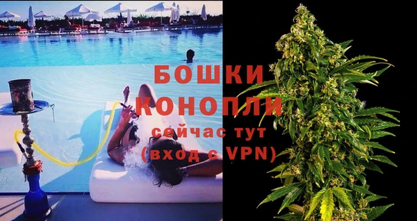 прущие грибы Зерноград