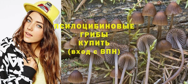 прущие грибы Зерноград