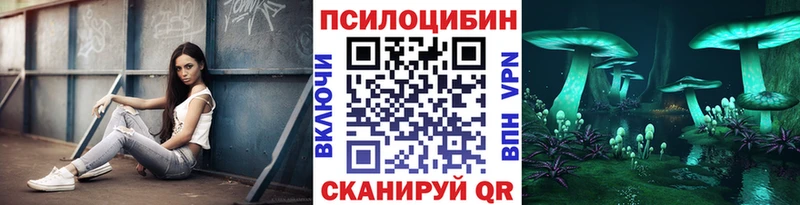 Галлюциногенные грибы Cubensis  Купить где  Строитель 